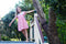 Allegra Dresss Paprika Stripe w/ Hand Stitch (Limited Edition)